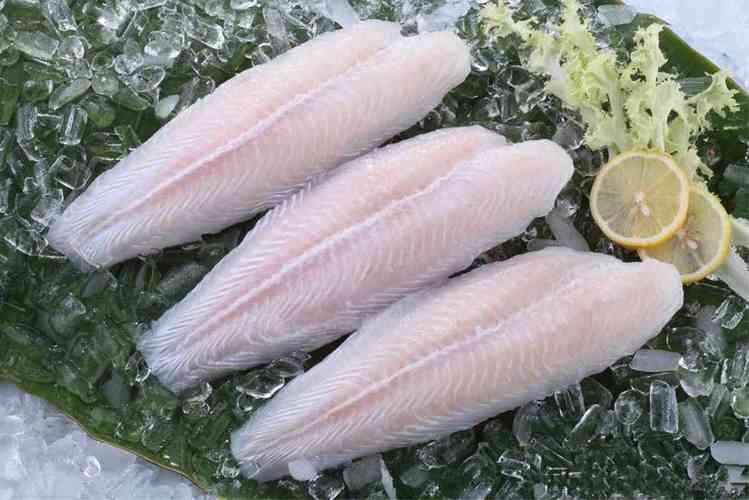巴沙鱼蛋白质含量高不高  第3张